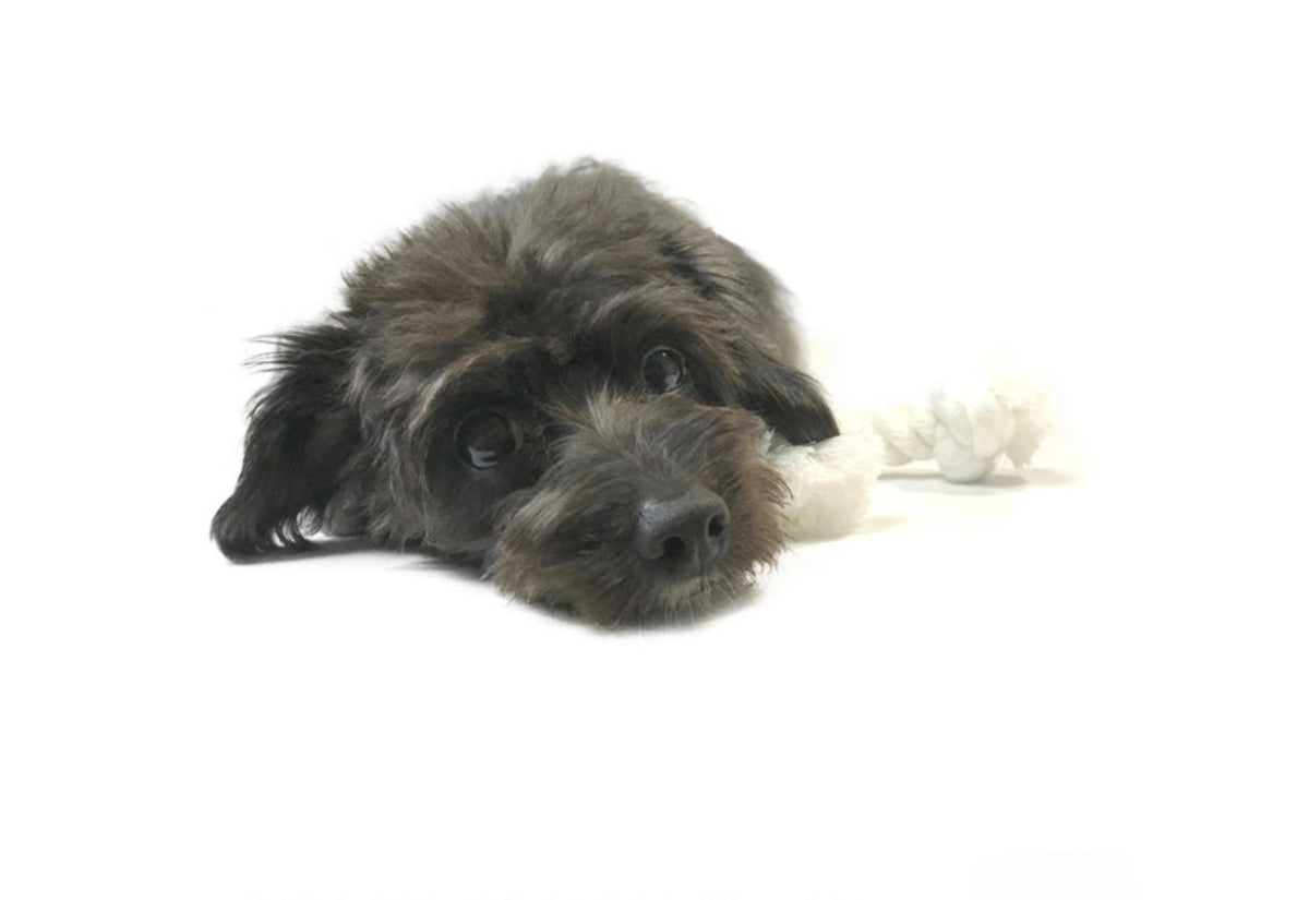 NKpup white rope dog toy for interactive play