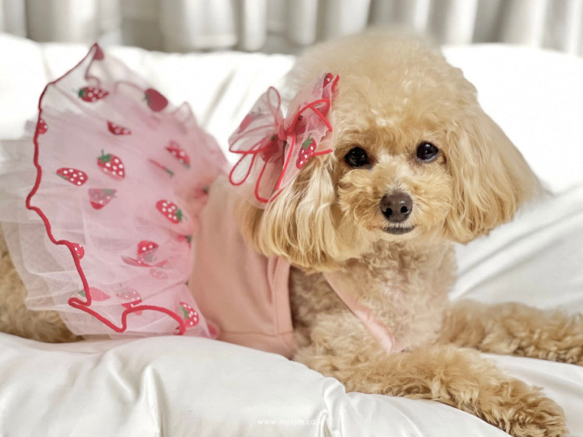 Picnic Tutu Dog Dress