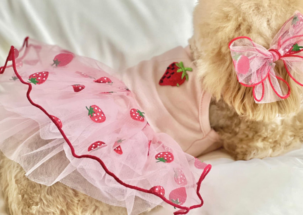 Picnic Tutu Dog Dress