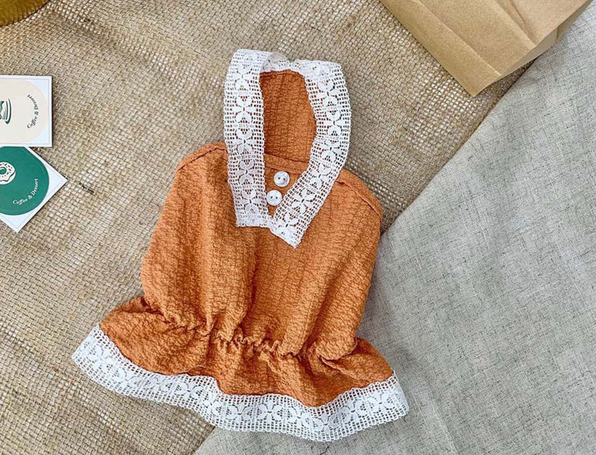NKpup orange lace dress for dogs with a white lace collar and hem