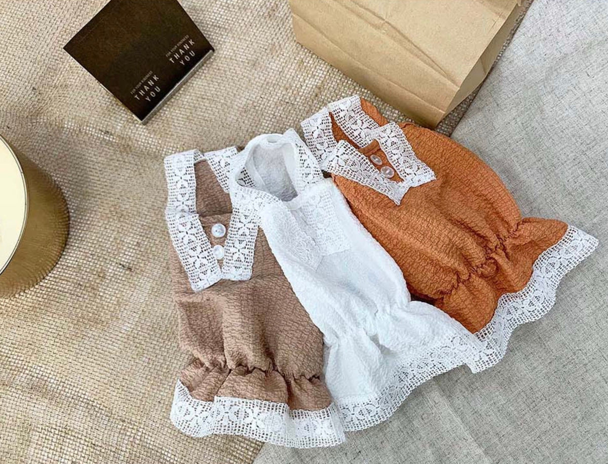 Three lace-trimmed pet dresses in brown, white, and orange colors.