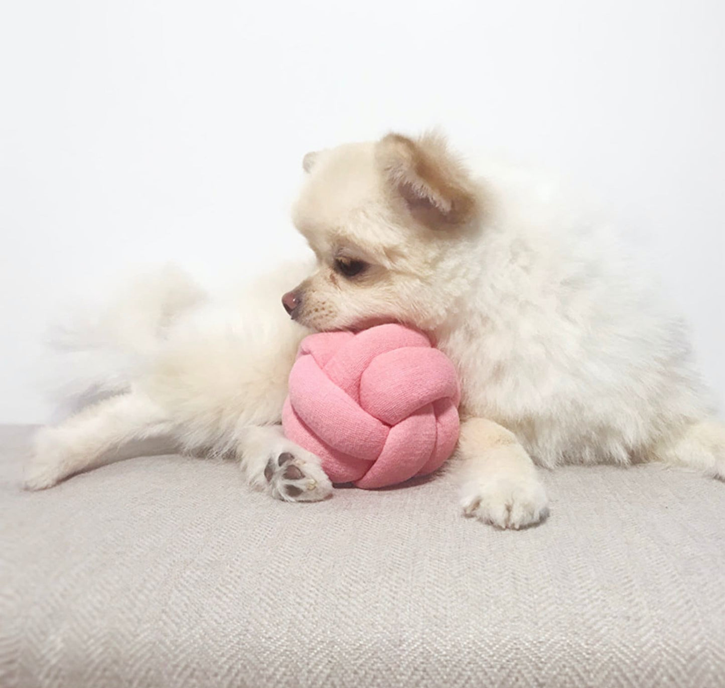 Rattle Ball Toy