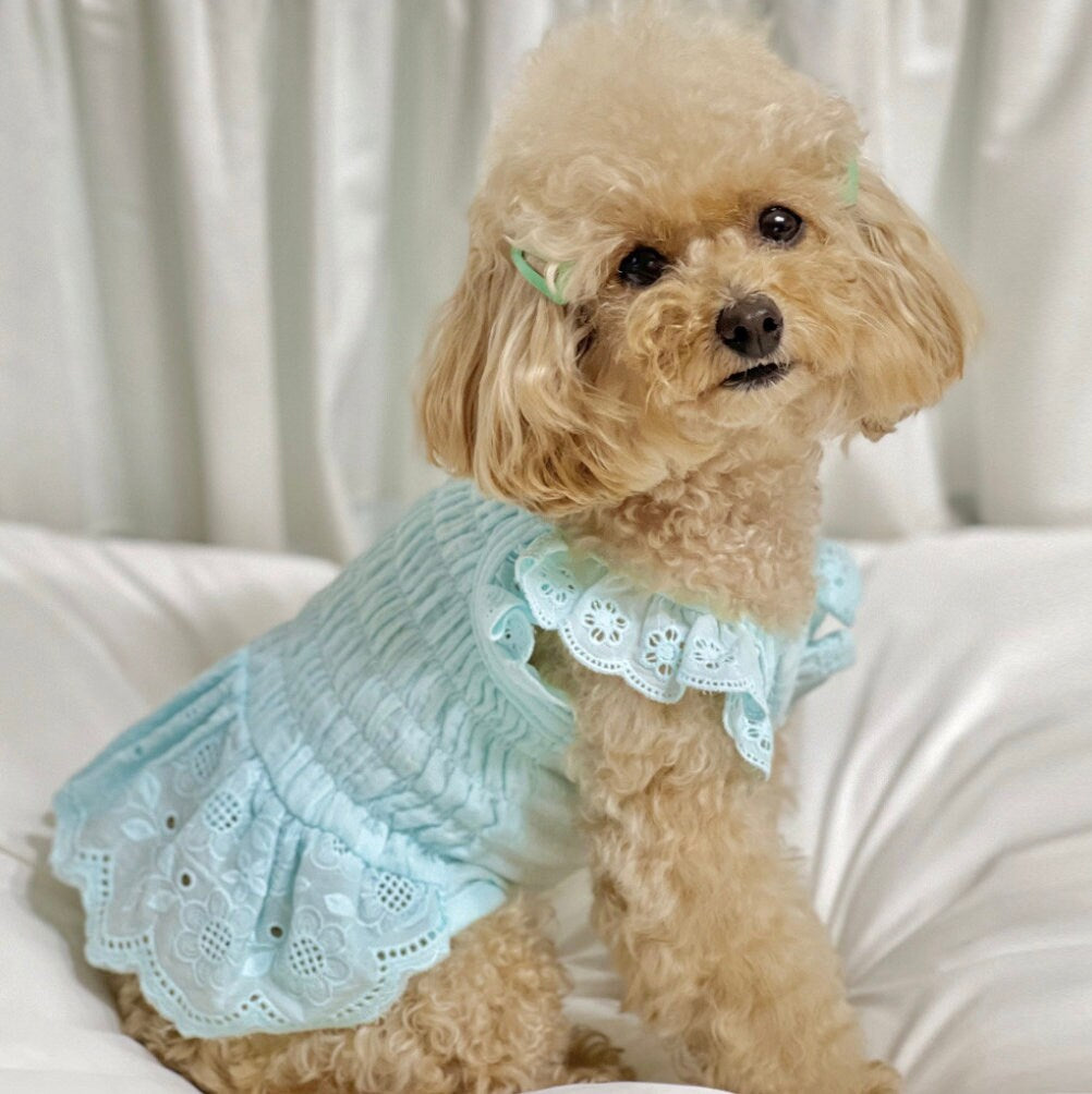 Eyelet Smocked Dog Dress