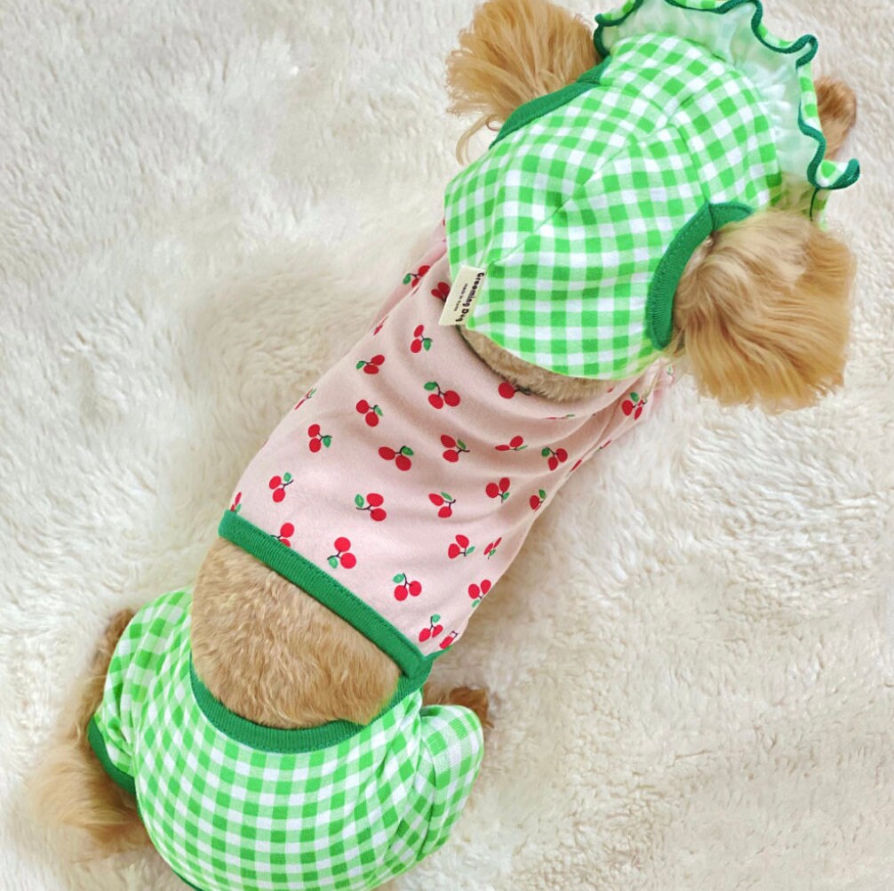 Gingham Dog Pajamas W/B