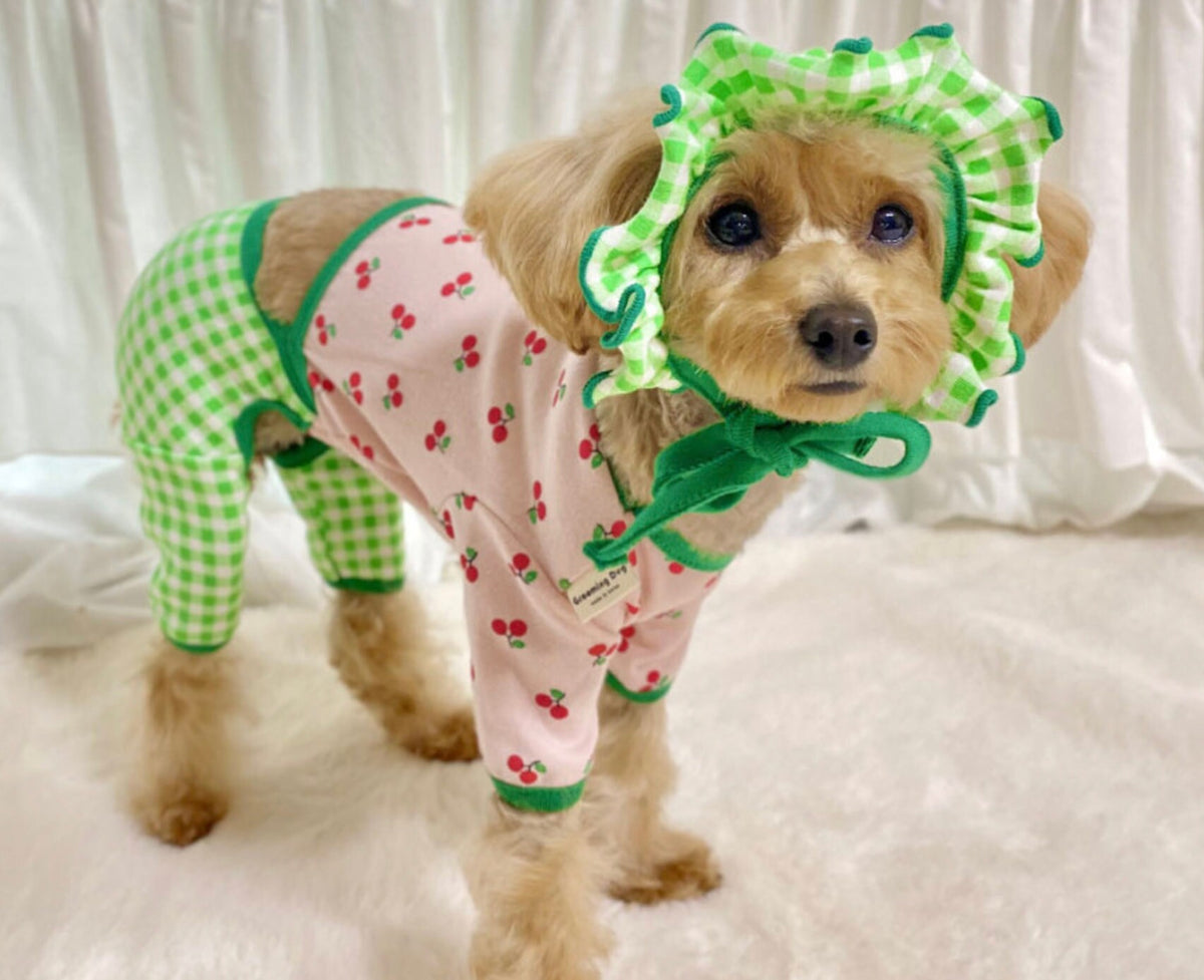 Gingham Dog Pajamas W/B