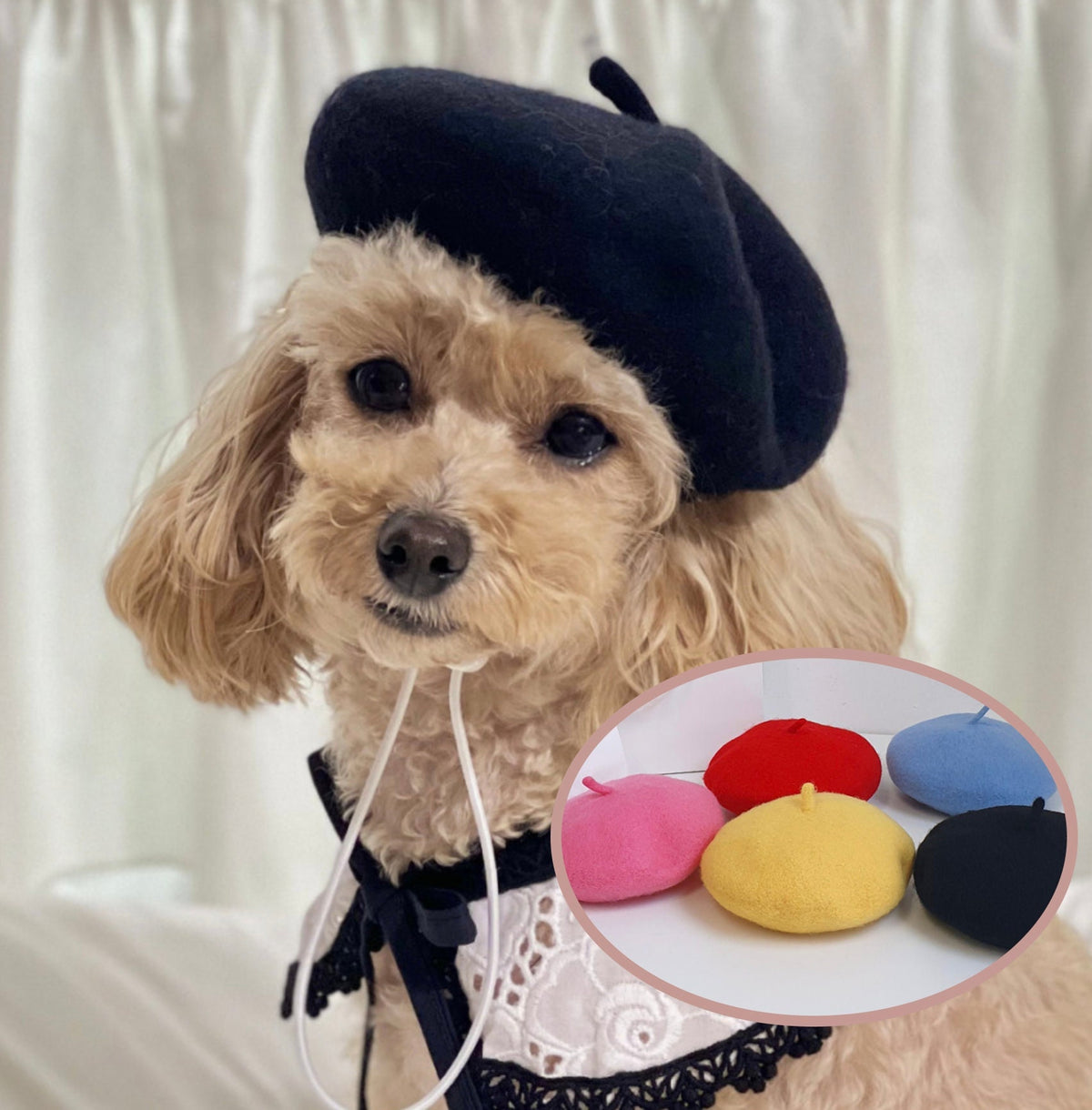 French Beret Dog Hat