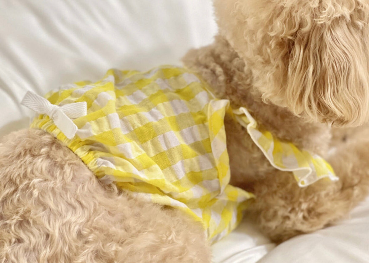 Gingham Crop Top