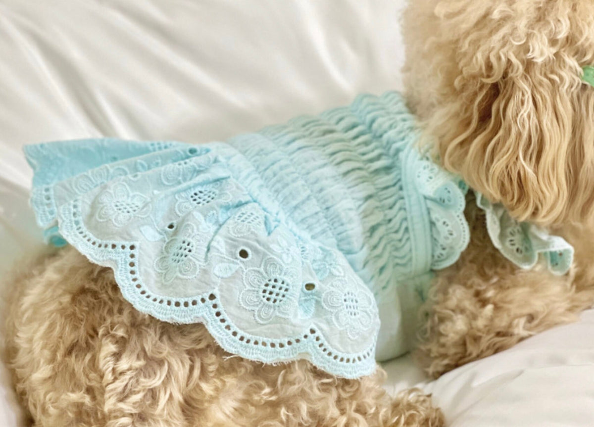 Eyelet Smocked Dog Dress