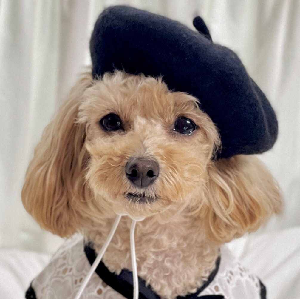 French Beret Dog Hat