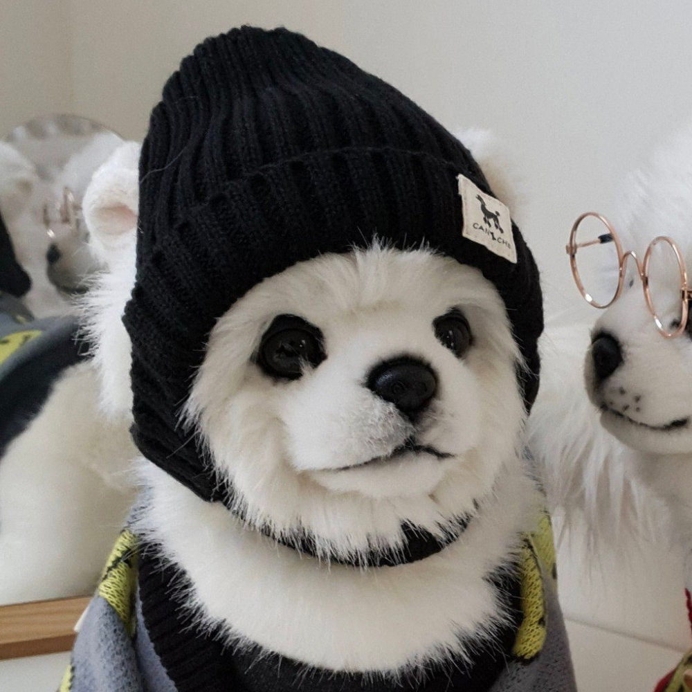Black ribbed cuff dog beanie by NKpup