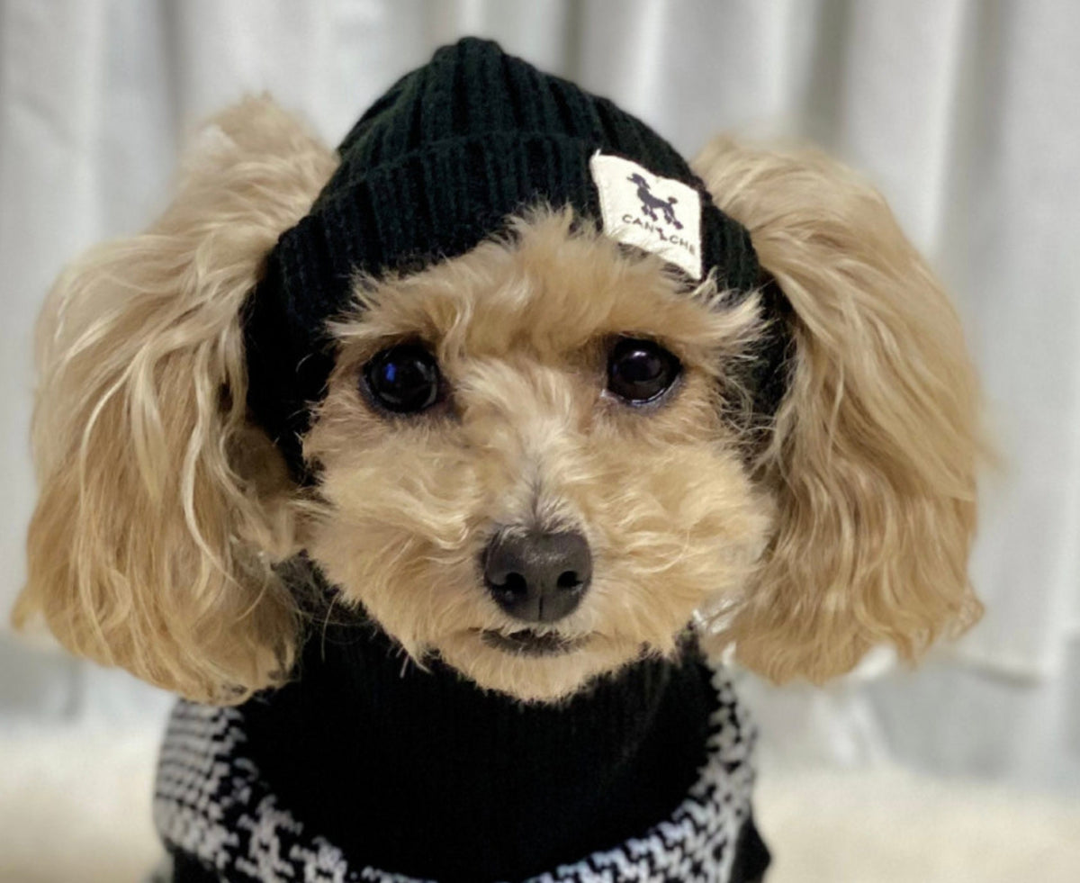 NKpup black ribbed cuff dog beanie with a white patch