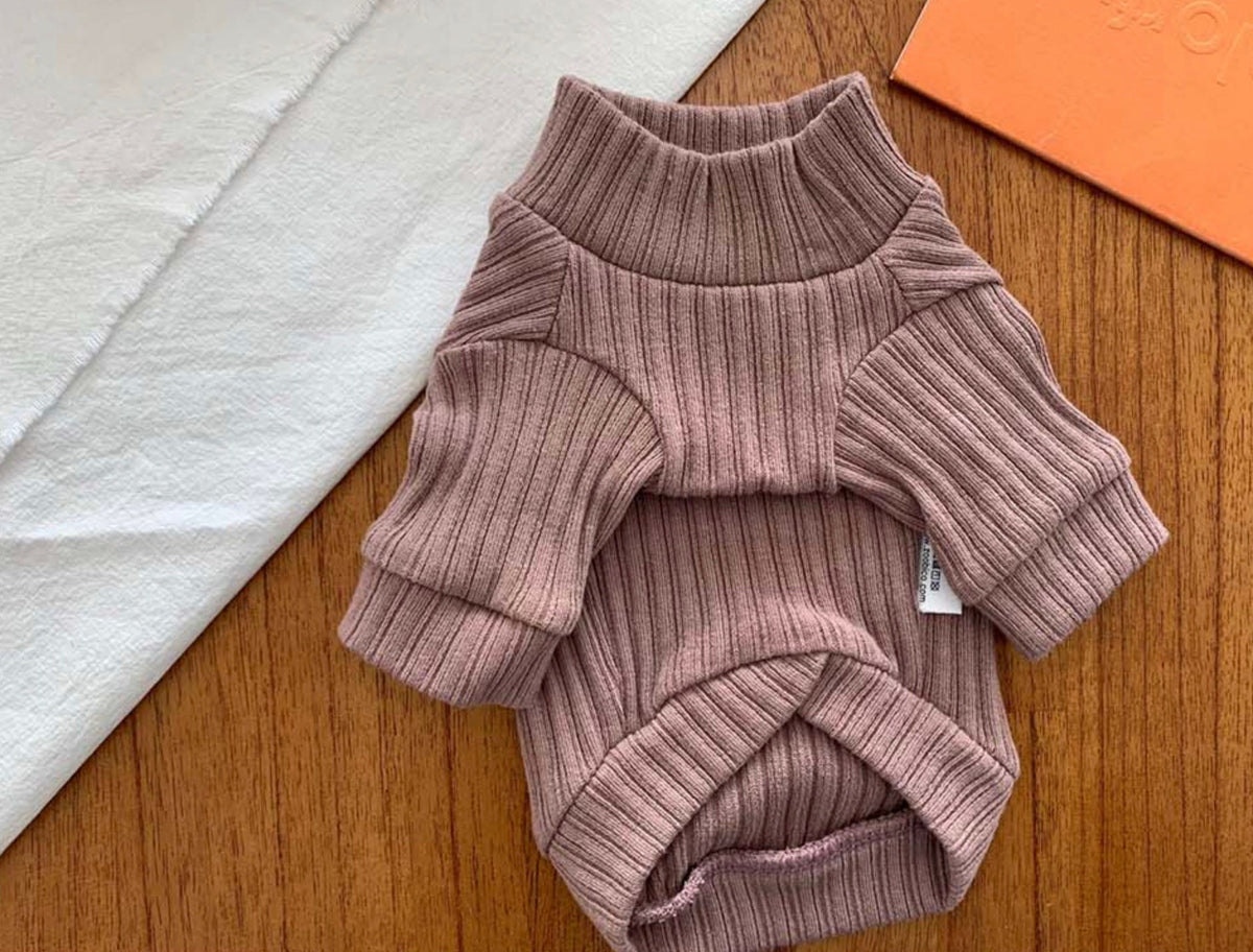 Jam Ribbed Dog Turtleneck Shirt