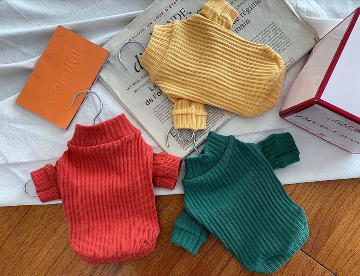 Jam Ribbed Dog Turtleneck Shirt