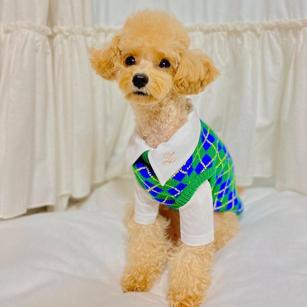 NKpup Vintage Argyle Knit Dog Vest in blue and green over a white collared shirt