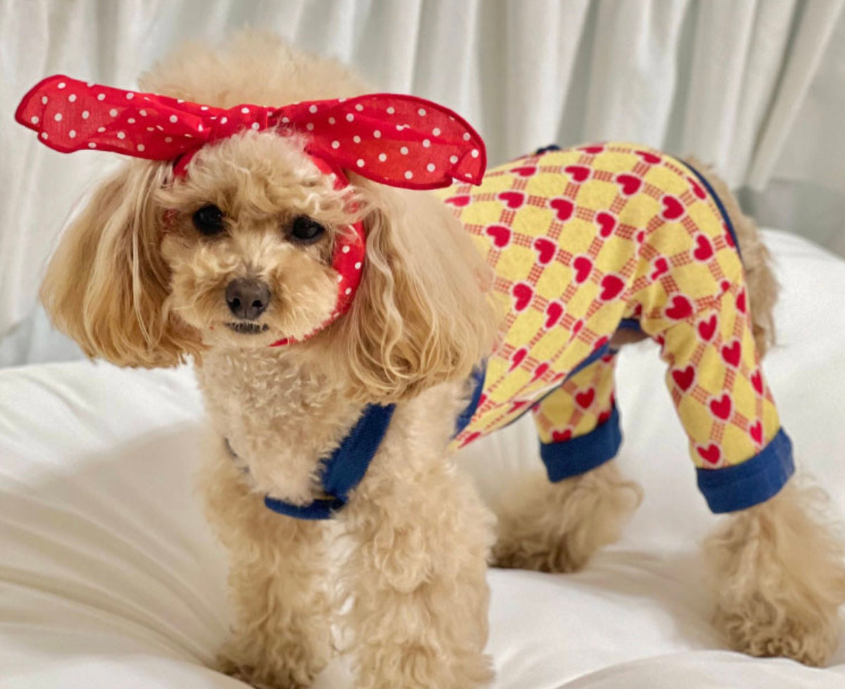 Heart Print Dog Suspender Overall