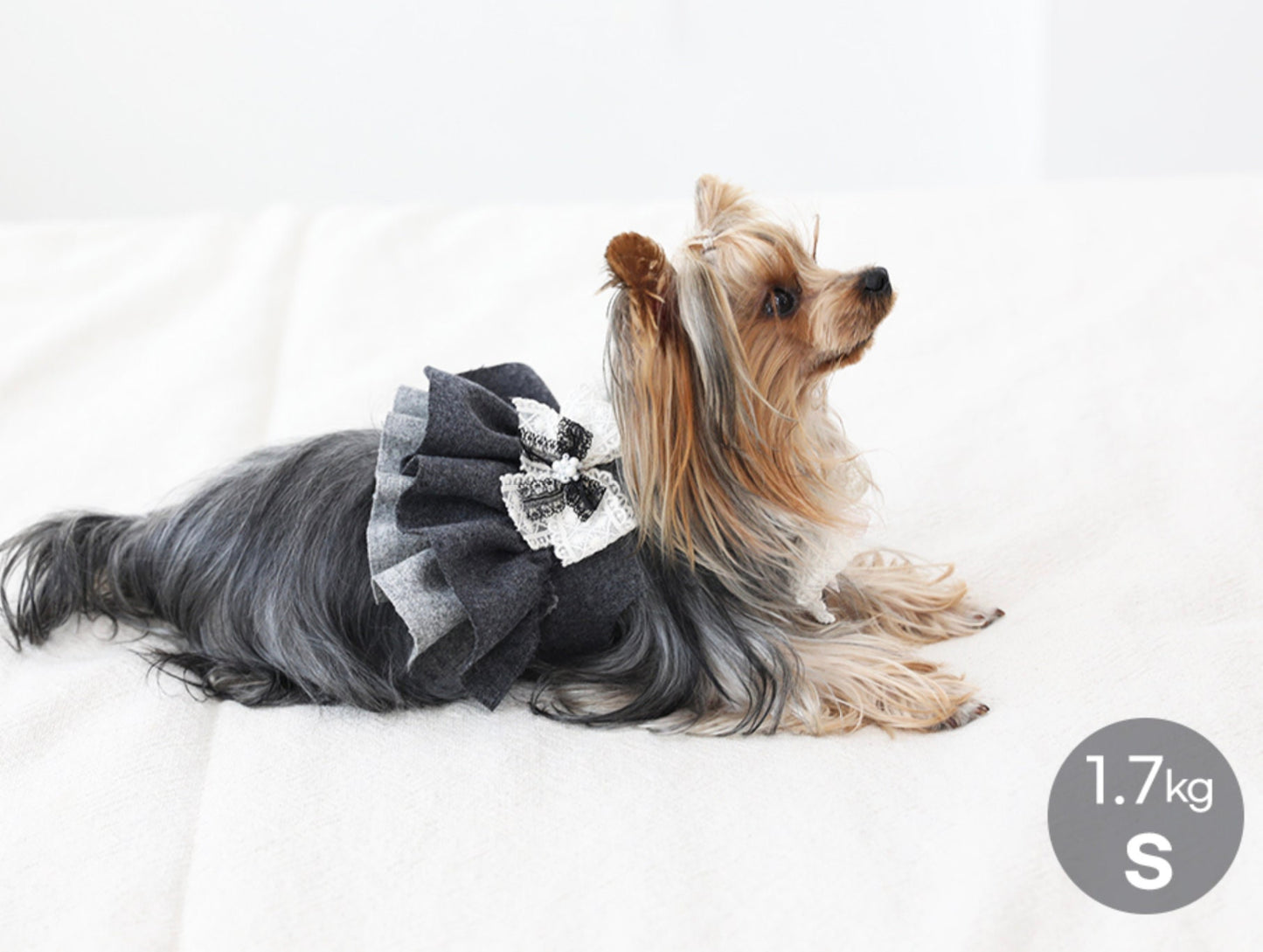 Wool Cotton Dress Harness