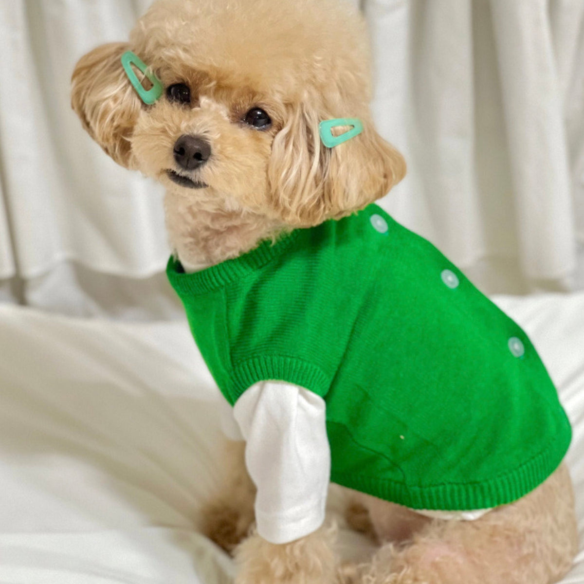 Vivid green knit dog cardigan vest with white long sleeves by NKpup