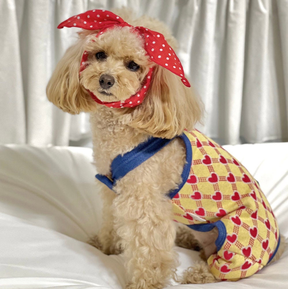 Heart Print Dog Suspender Overall