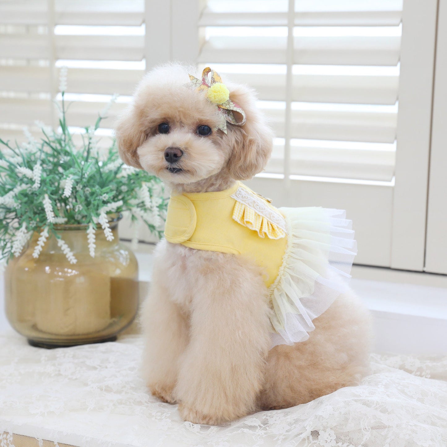 Tutu Frilled Cotton Harness