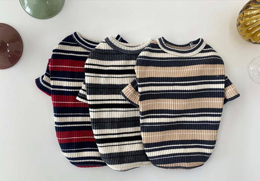 Stripe Ribbed Knit