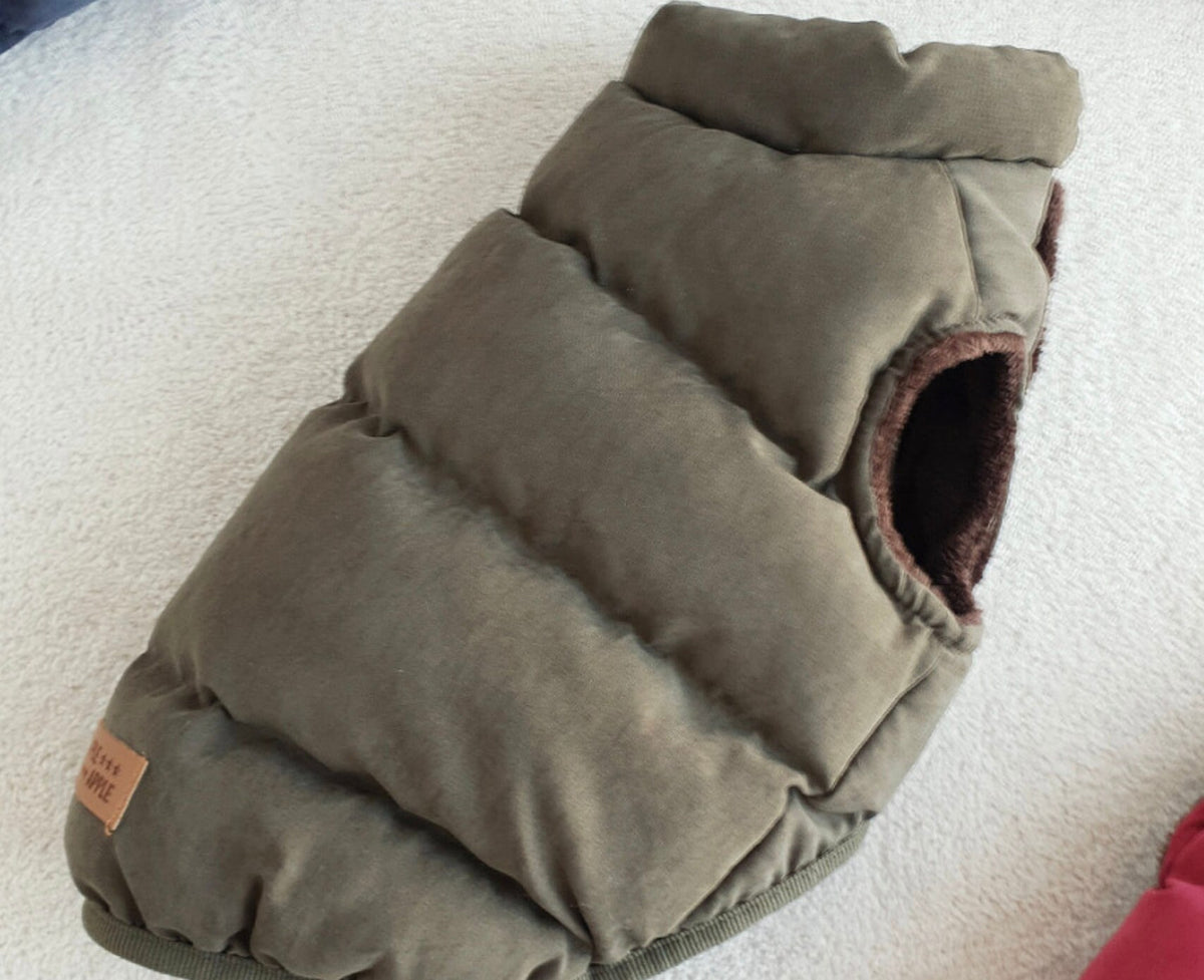 S-3XL, Puffer Dog Jacket