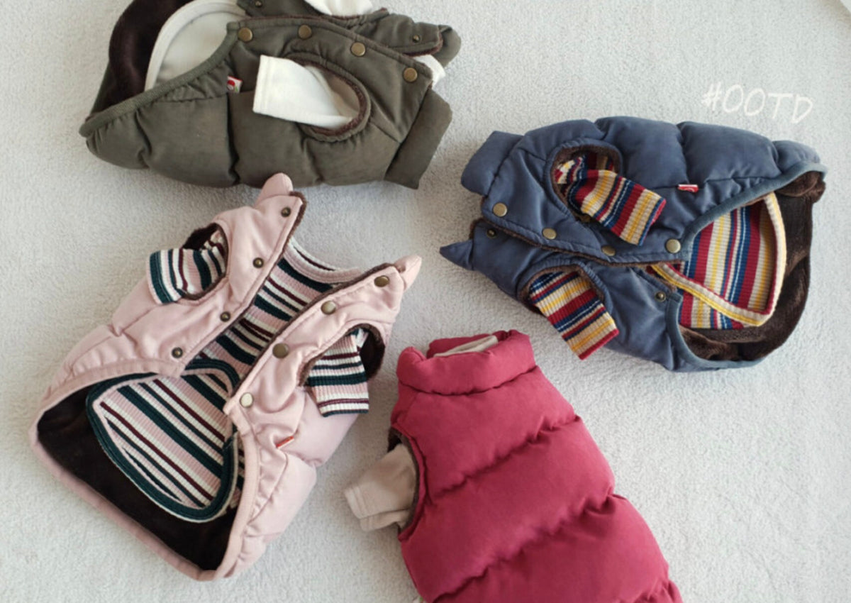 S-3XL, Puffer Dog Jacket