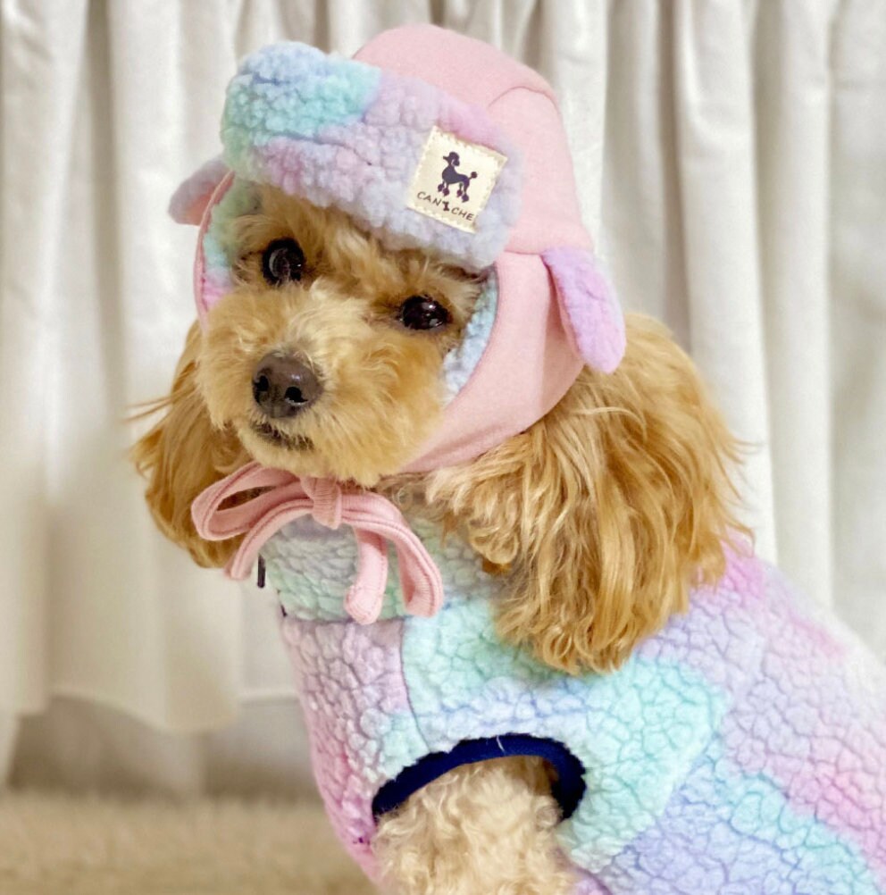 Reversible Trapper Dog Hat