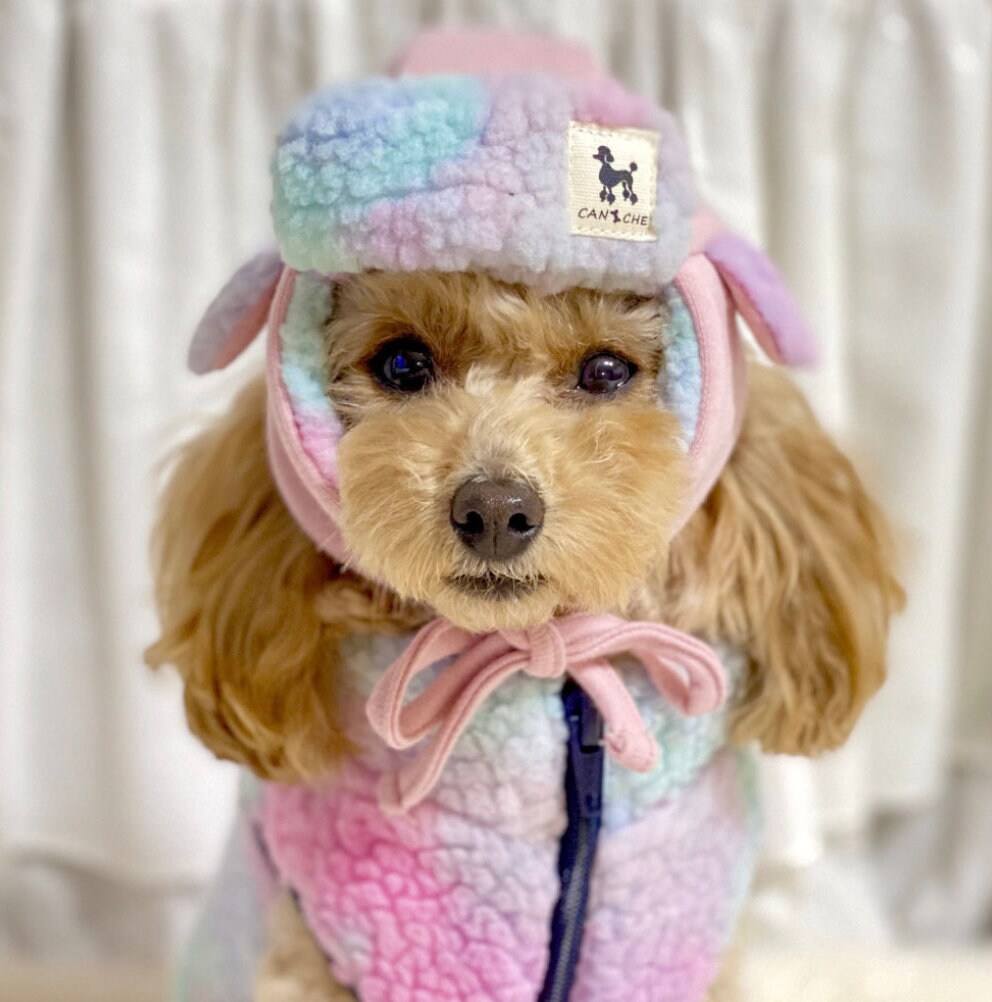 Reversible Trapper Dog Hat
