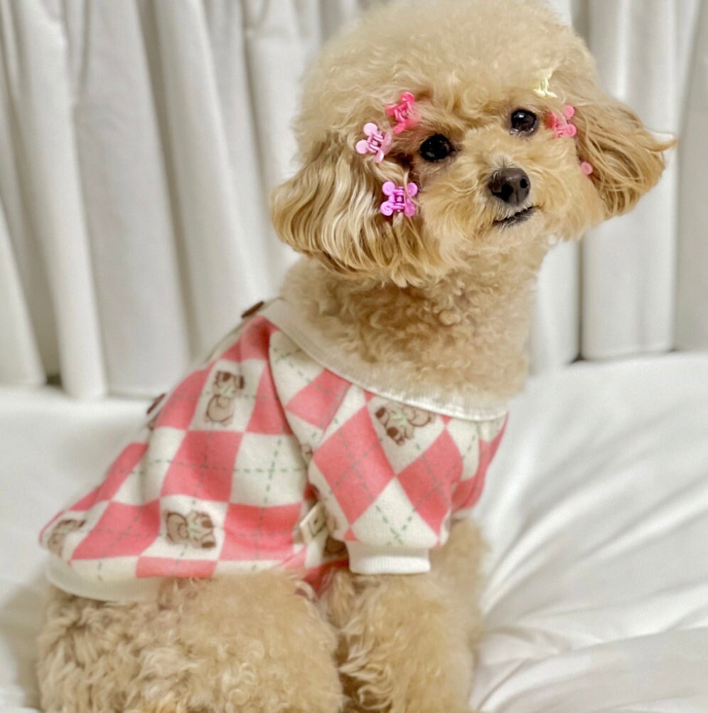 S-3XL, Teddy Bear Argyle Dog Cardigan