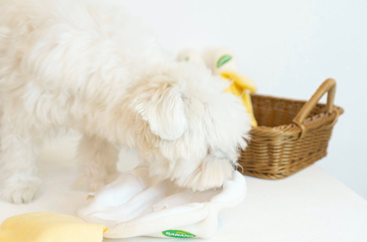 Snuffle Banana dog toy in white and yellow