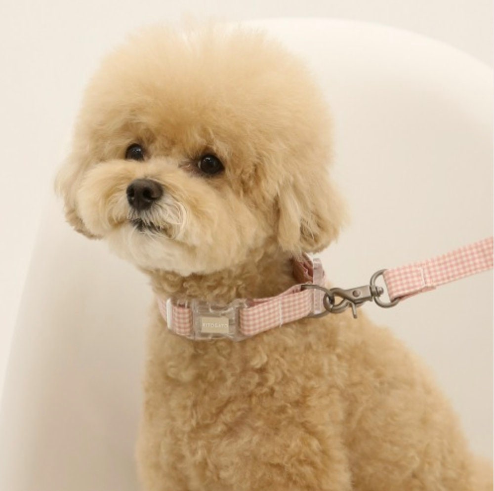 Cotton Collar Leash