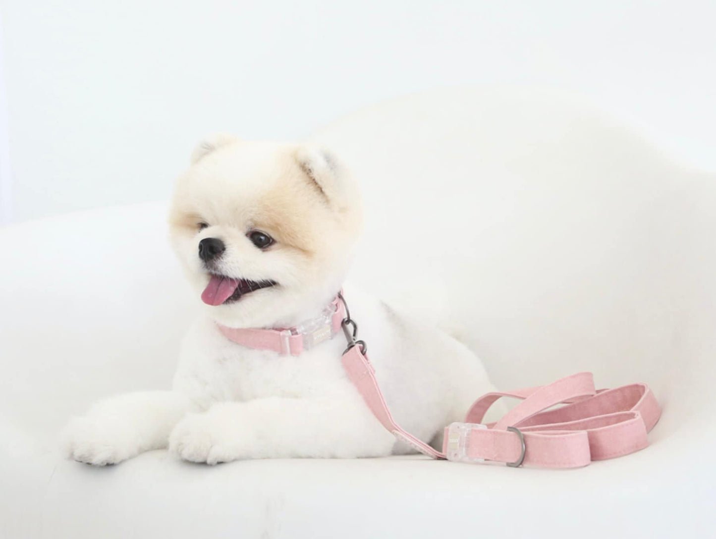 Cotton Pastel Collar Leash