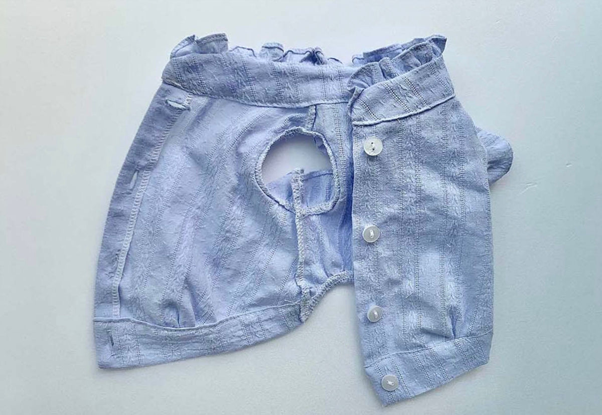 Light blue NKpup frilled blouse for dogs with button-down front and textured fabric.