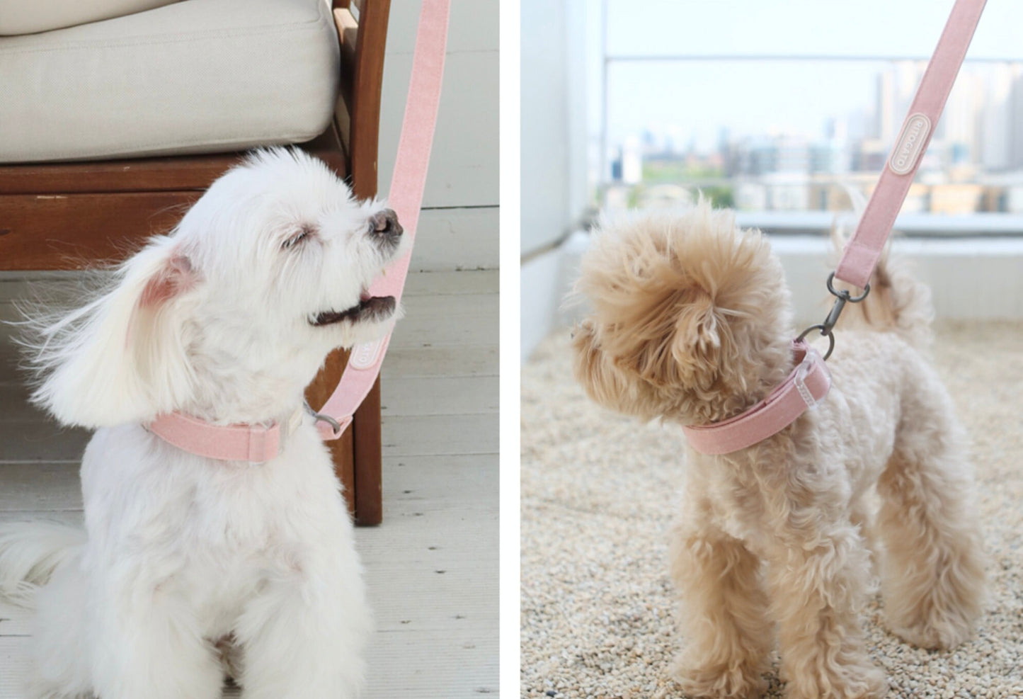 Cotton Pastel Collar Leash