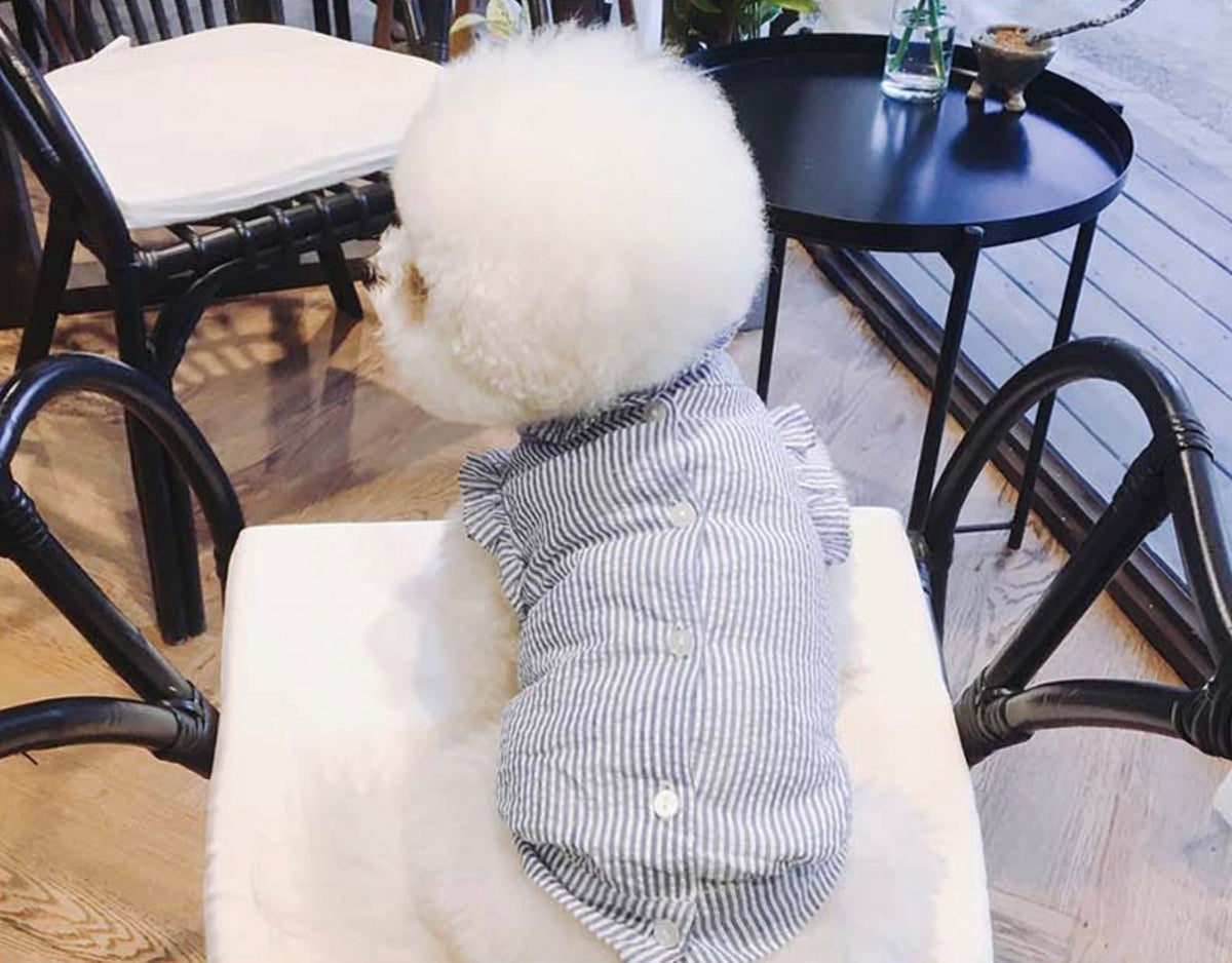 NKpup blue and white striped frilled blouse for dogs