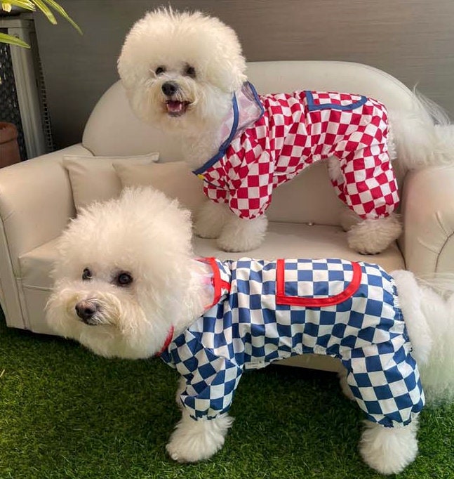 Red Gingham Raincoat for Dog