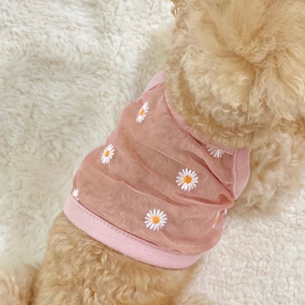 NKpup pastel pink mesh dog crop top featuring white daisy embroidery