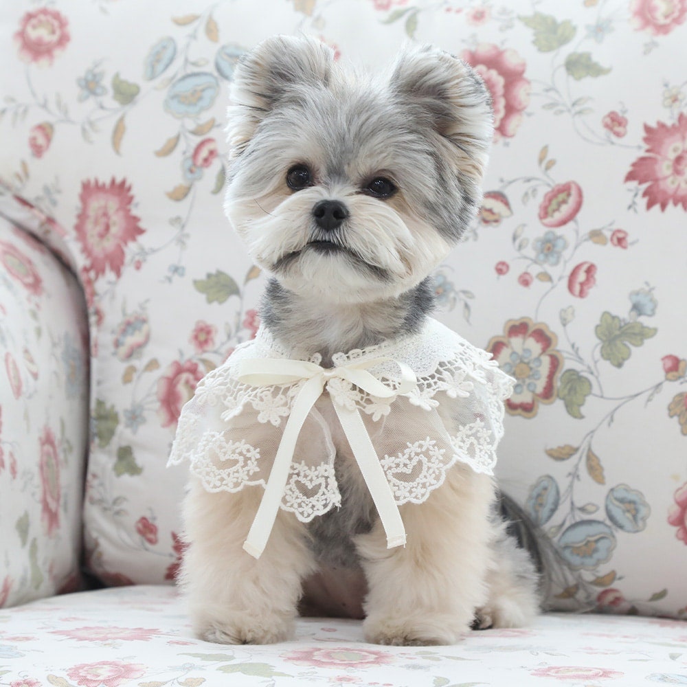 Cotton Lace Bandana