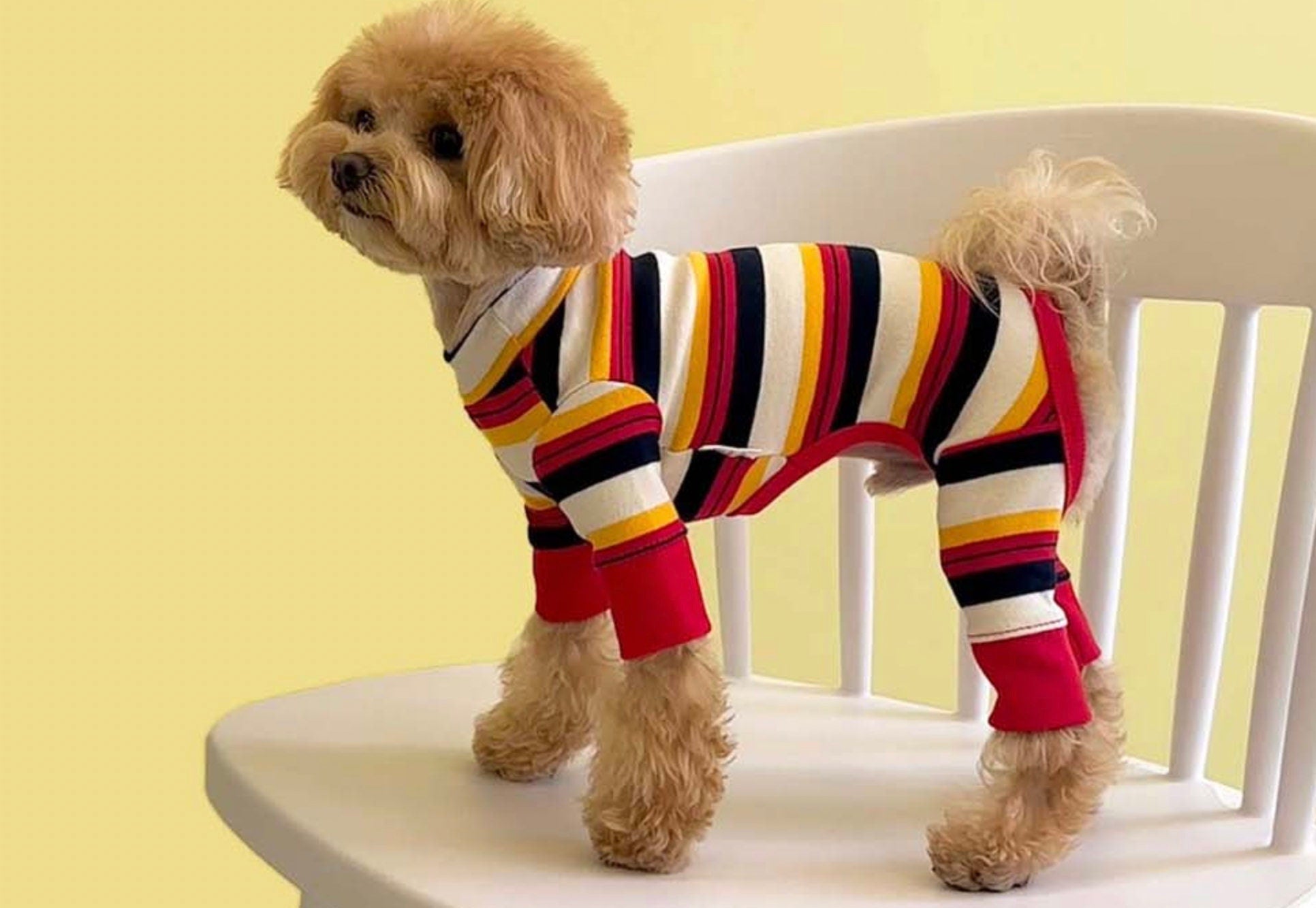 dog gear overall Striped Ribbed Overall for Small Dog