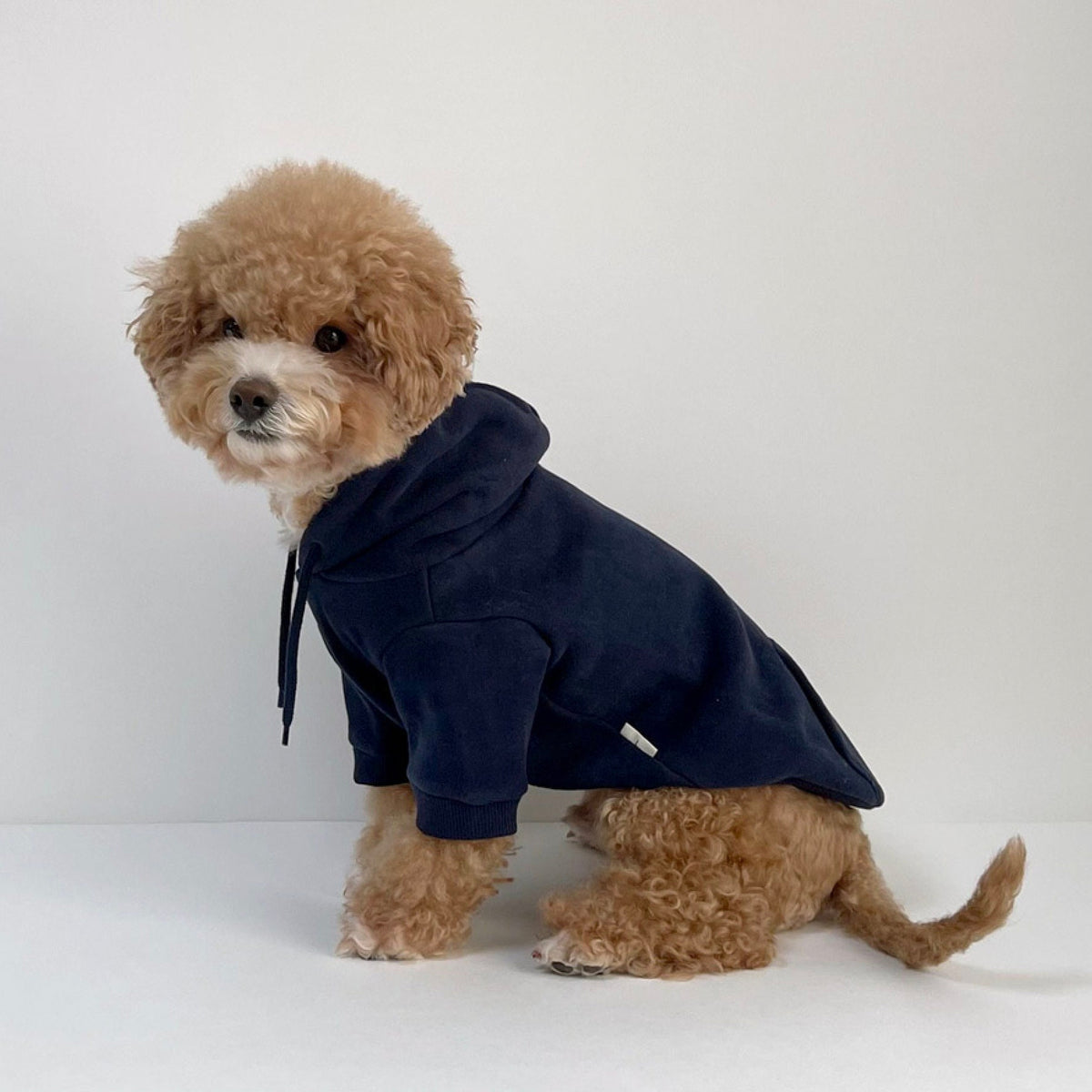 Navy blue NKpup brushed fleece dog hoodie