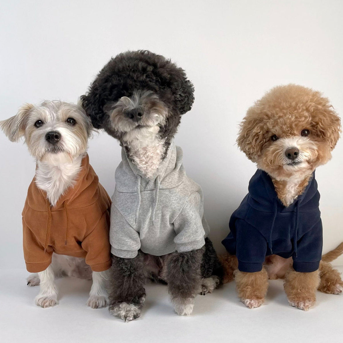Three dogs wearing NKpup brushed fleece dog hoodies in brown, grey, and navy blue.