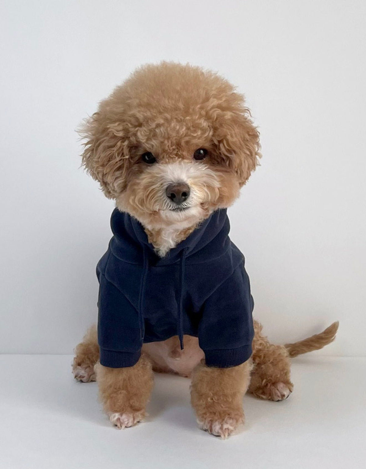 NKpup navy blue brushed fleece dog hoodie