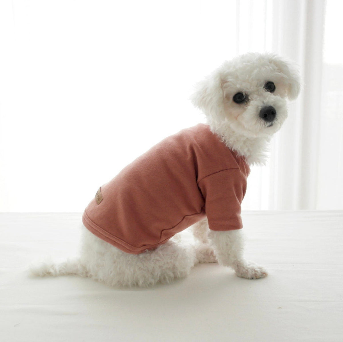 Basic Round Dog Shirt