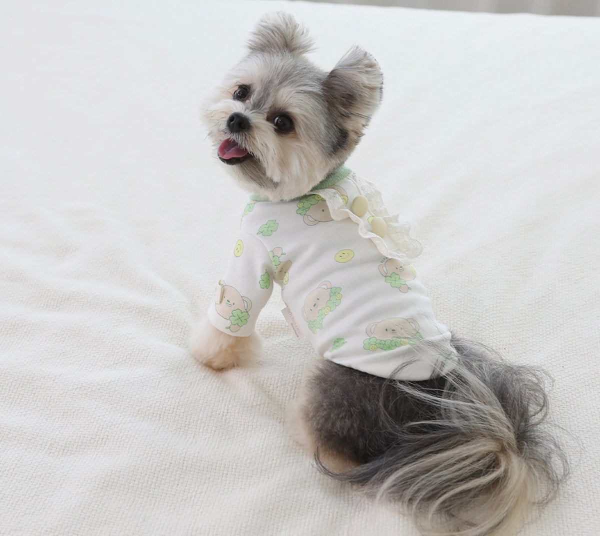 Organic Cotton T-Shirt