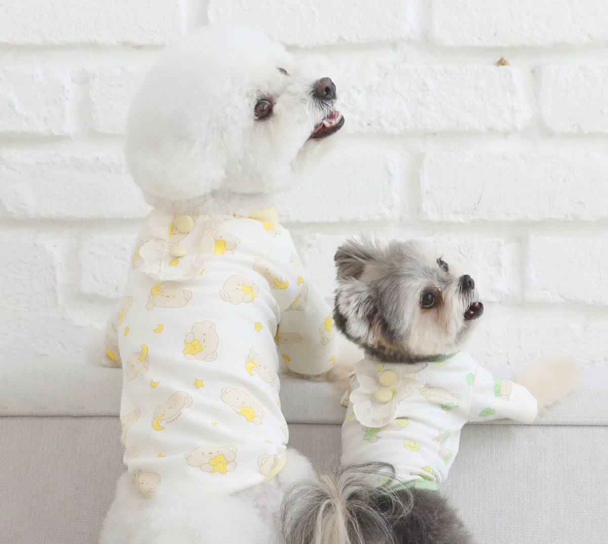Organic Cotton T-Shirt