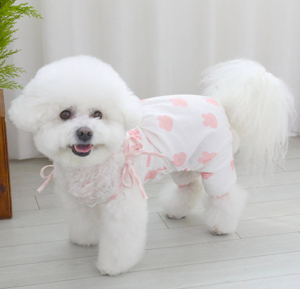NKpup Rabbit Dog Overall in white with pink heart patterns and lace trim