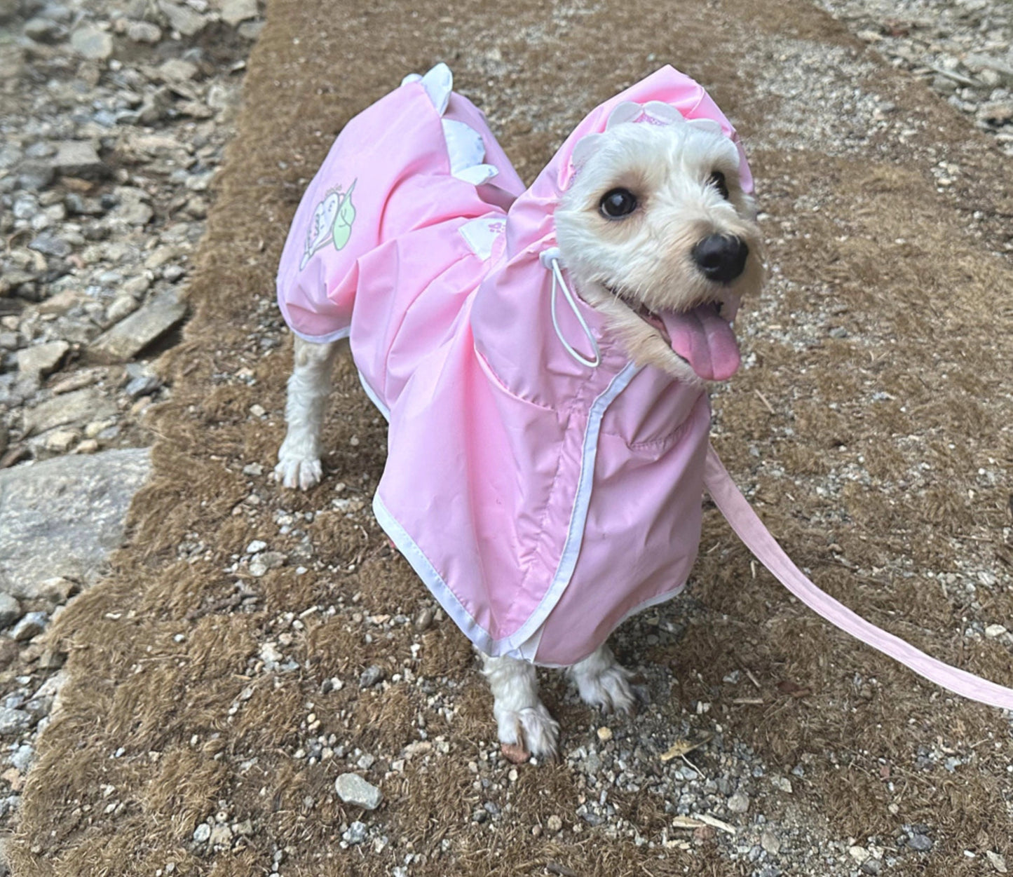 Dinosaur Raincoat for Dog