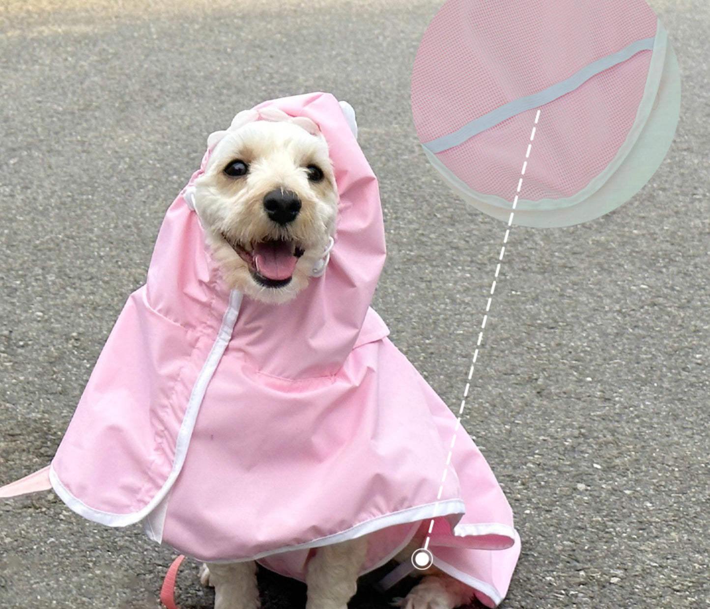 Dinosaur Raincoat for Dog