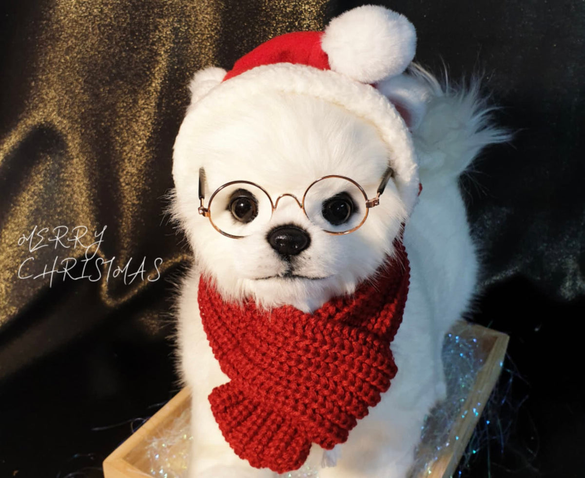 Santa Dog Christmas Hat