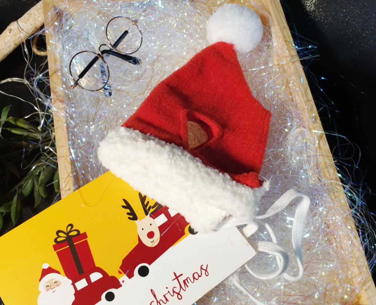 Santa Dog Christmas Hat